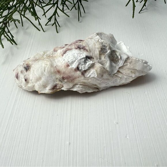 NWT Decorated Blue Hydrangea 3.5” Oyster Shell - Picture 2 of 2